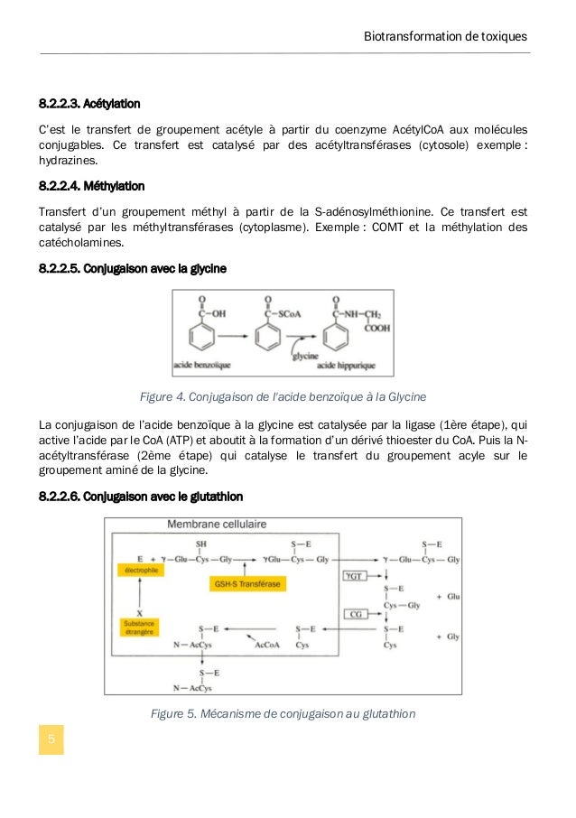 biotransformation des toxiques